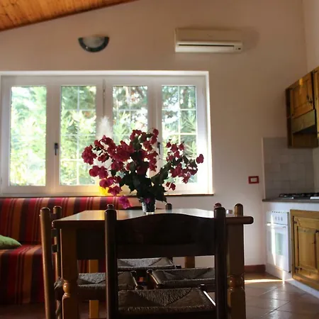 Villa With Exit To Sand Beach *