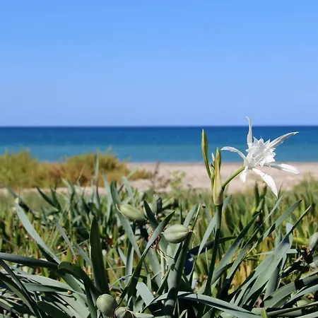 With Exit To Sand Beach * Lascari